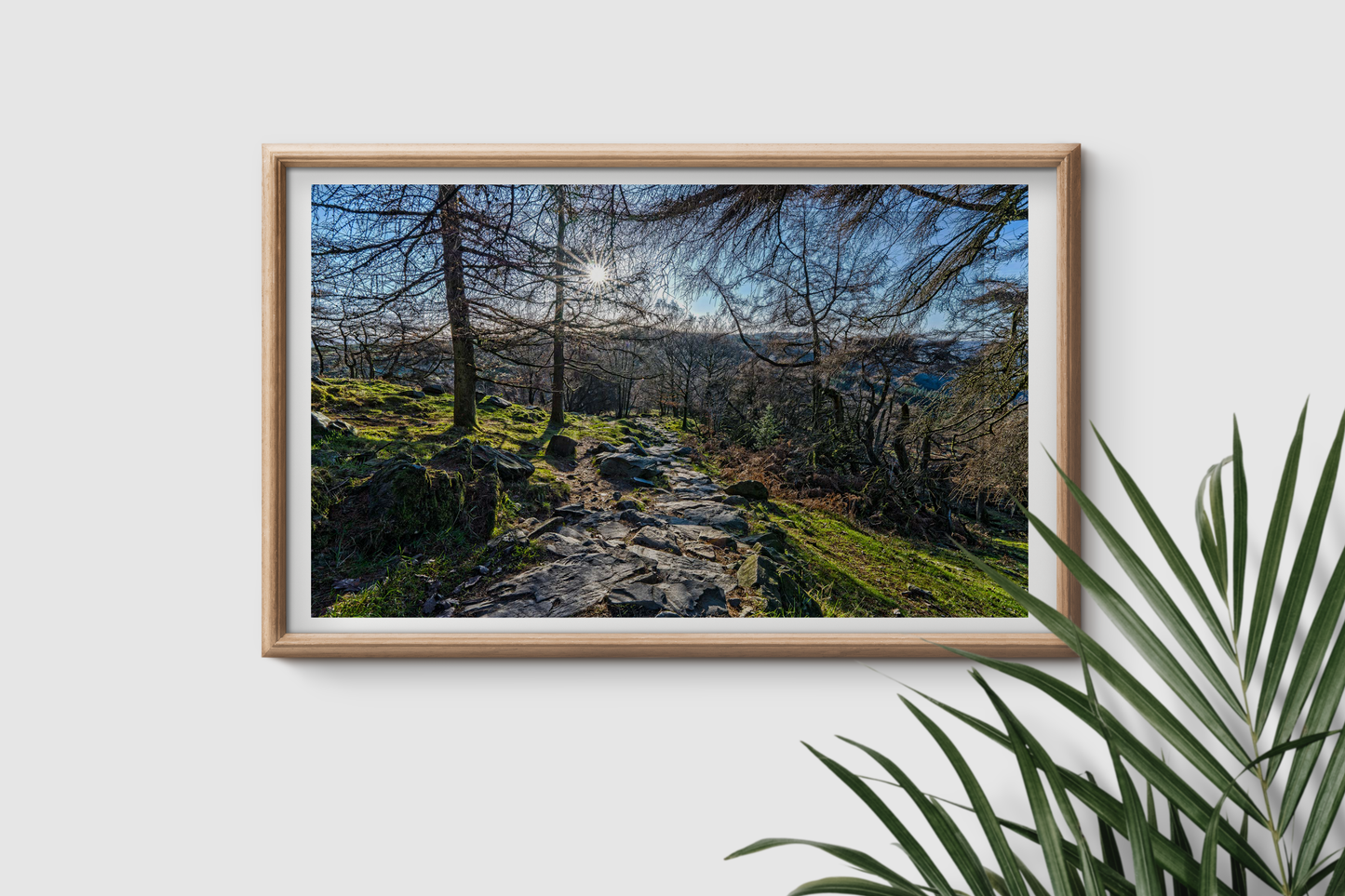 Descent From Gummers How