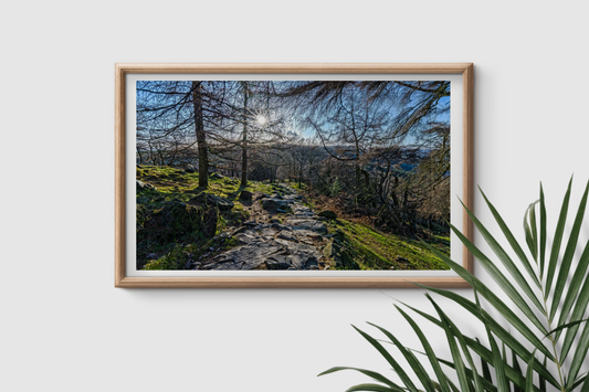 Descent From Gummers How