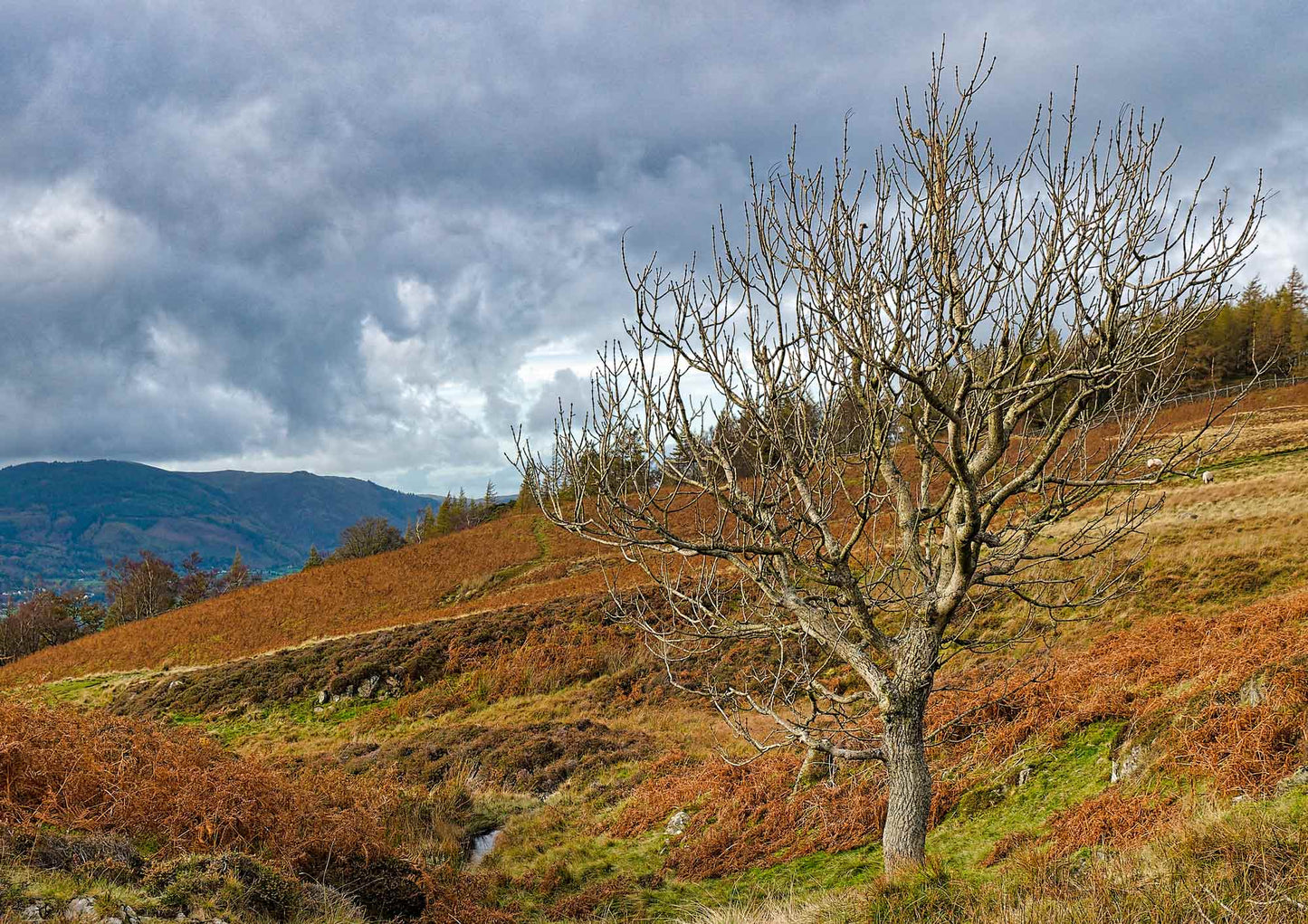 Borrowdale Valley