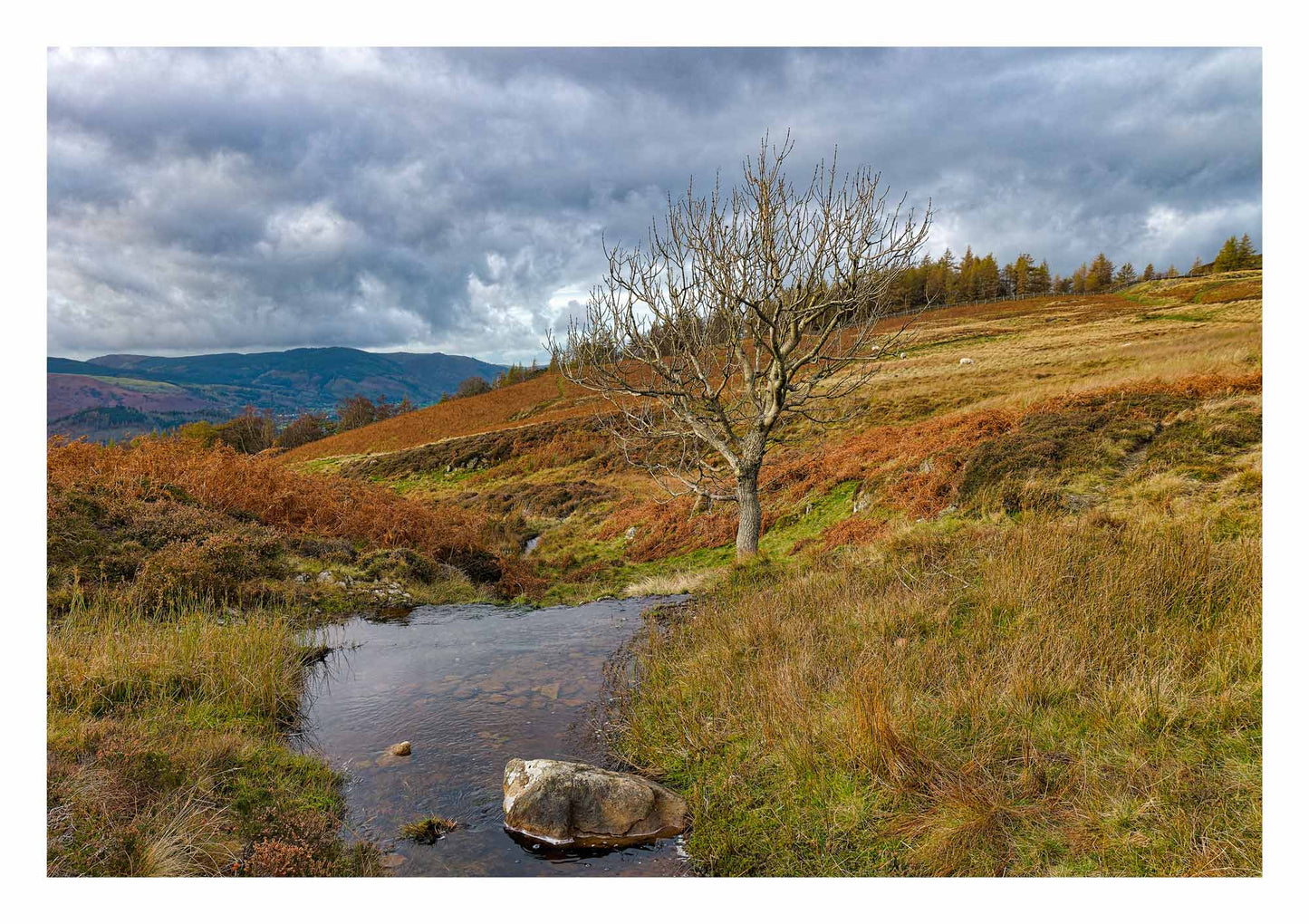 Borrowdale Valley