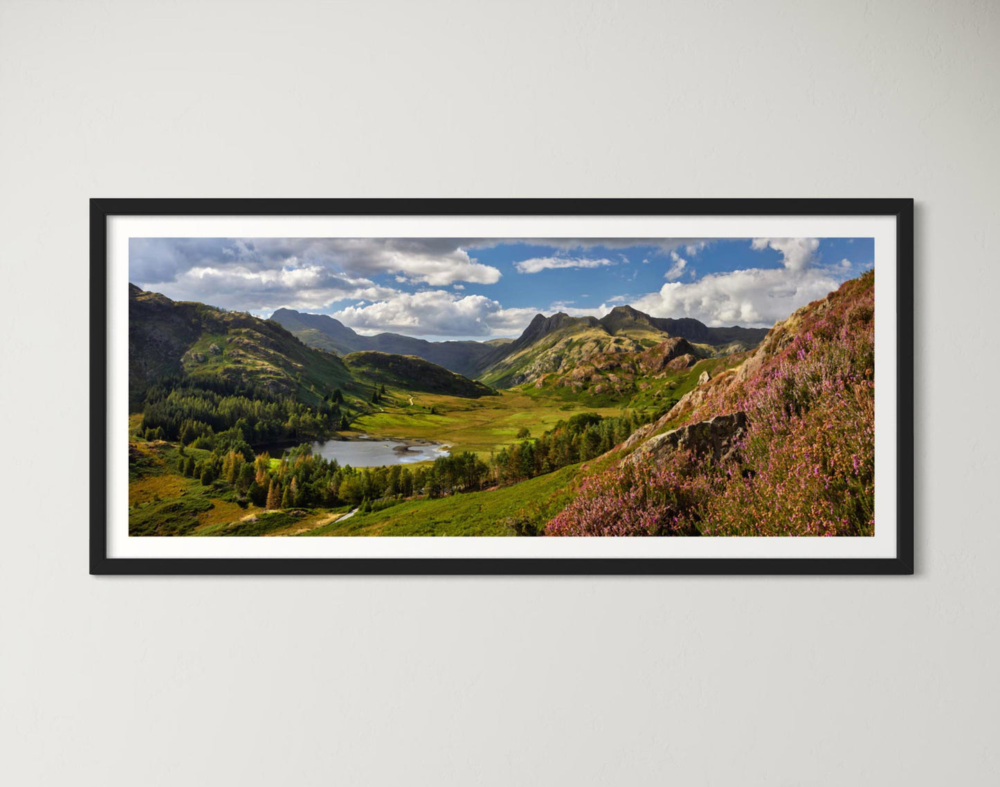 Colours of Summer in Langdale