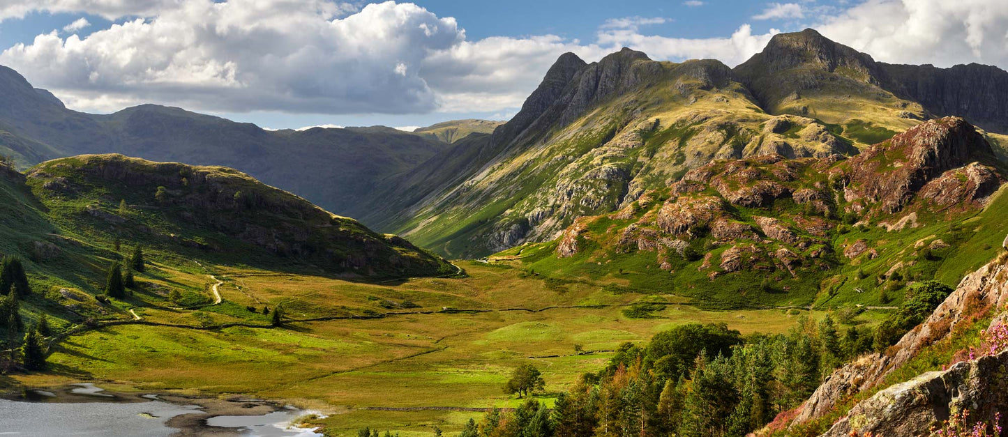 Colours of Summer in Langdale