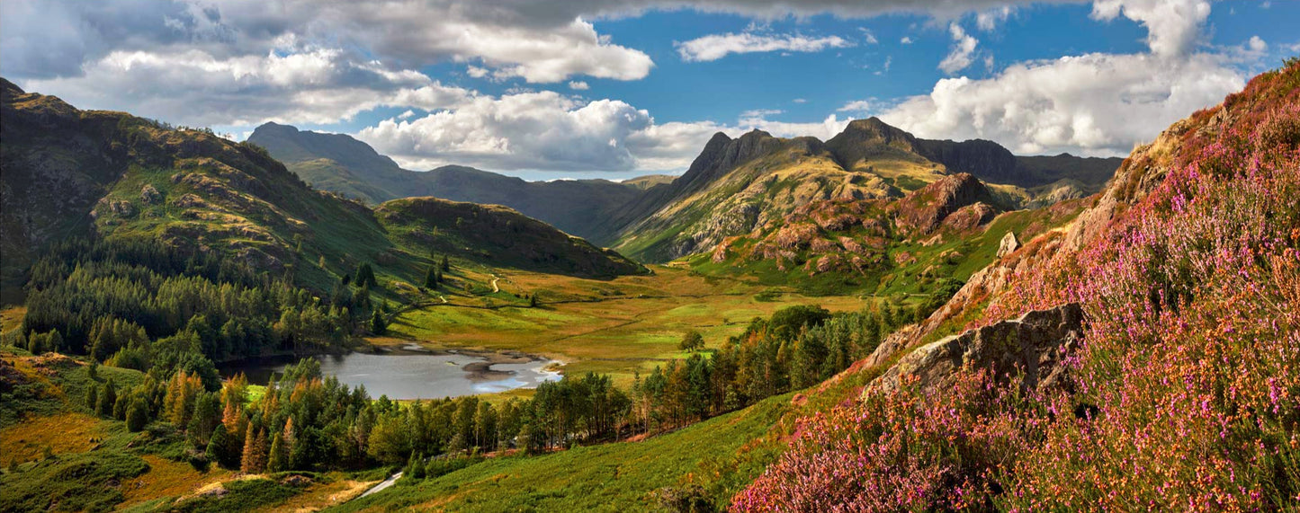 Colours of Summer in Langdale