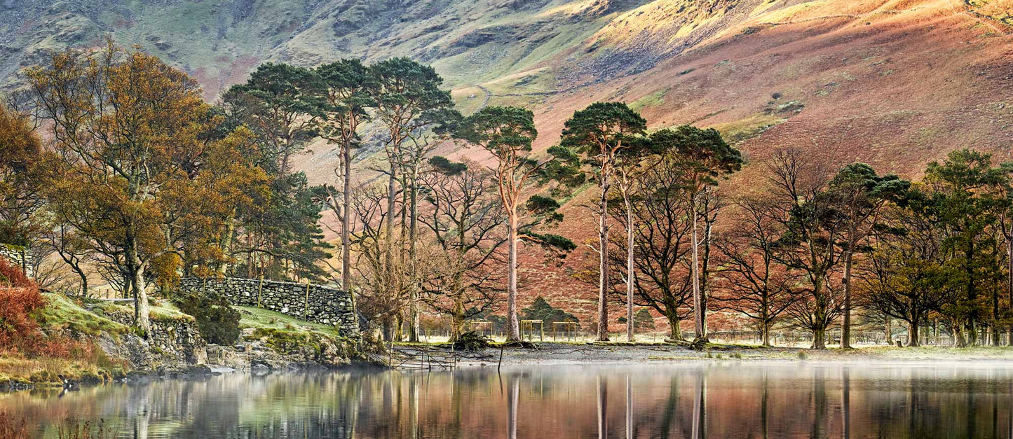 Golden Buttermere