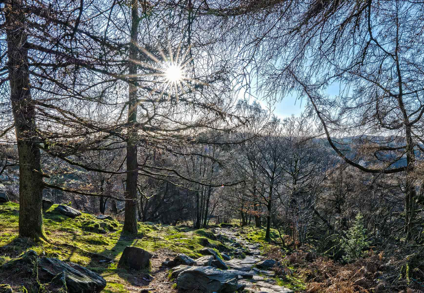 Descent From Gummers How