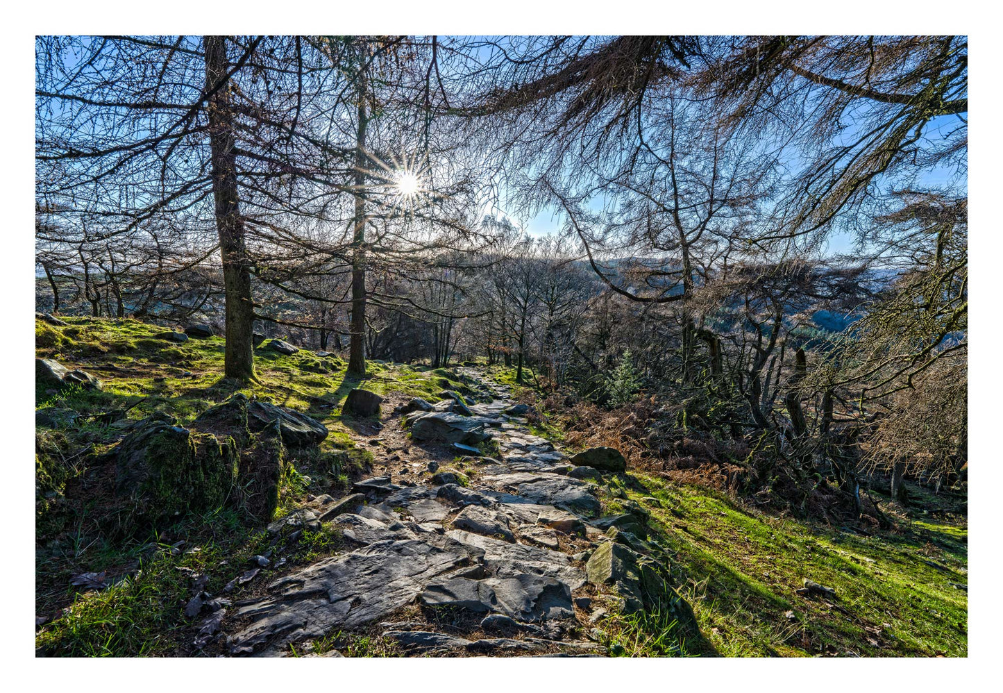 Descent From Gummers How